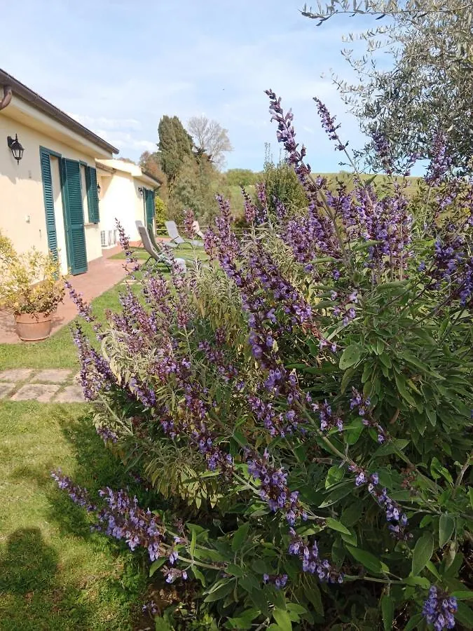 ファームステイ Agriturismo Le Colline Di カパルビオ