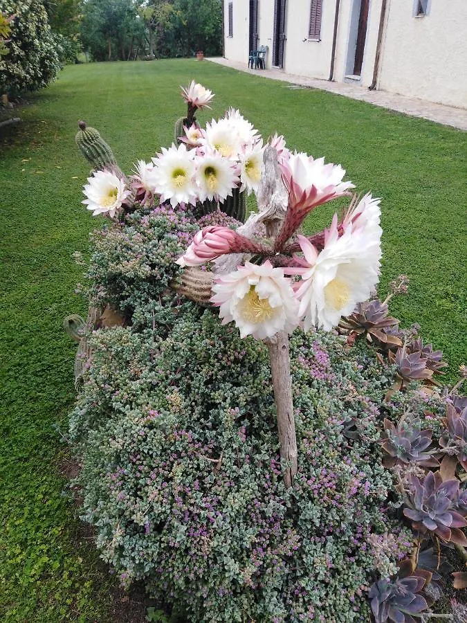 Agriturismo Le Colline Di カパルビオ