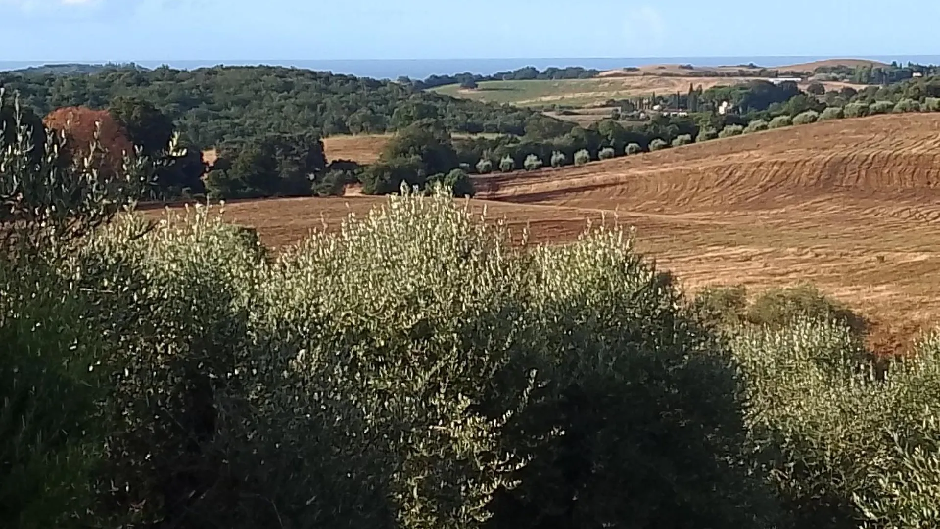 Agriturismo Le Colline Di Capalbio Italy