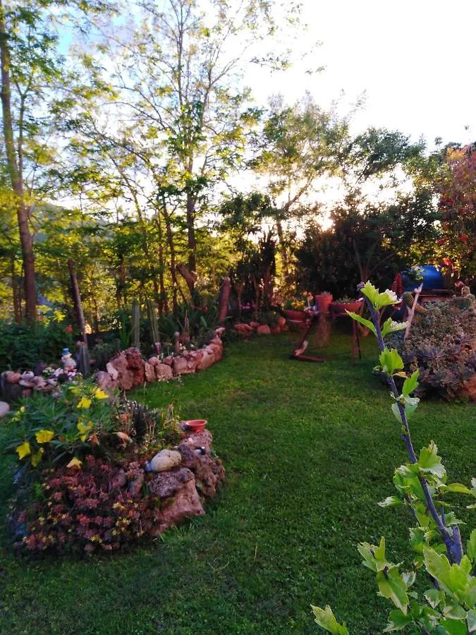 Farm stay Agriturismo Le Colline Di Capalbio